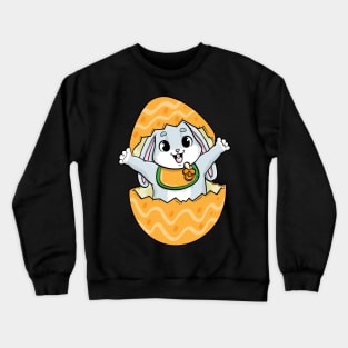 Baby rabbit with Pacifier Bib and Egg Crewneck Sweatshirt